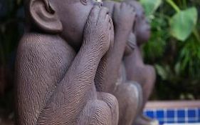 3 Monkeys Villa - Gay Hotel